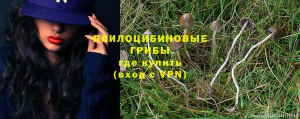 амфетамин Алексеевка