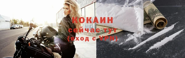 прущий лед Алзамай