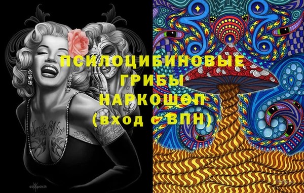прущий лед Алзамай