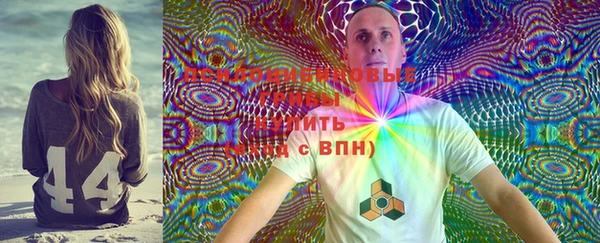 прущий лед Алзамай